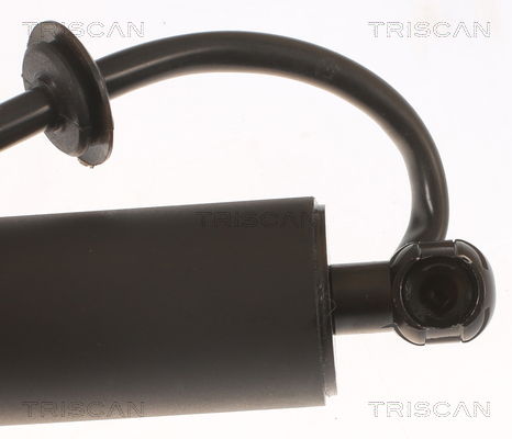 Gasfeder, Koffer-/Laderaum links Triscan 8710 43301 von Triscan