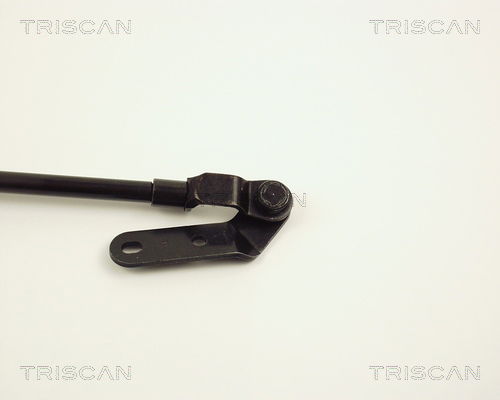 Gasfeder, Koffer-/Laderaum rechts Triscan 8710 13235 Gasfeder, Koffer-/Laderaum rechts Triscan 8710 13235 von Triscan