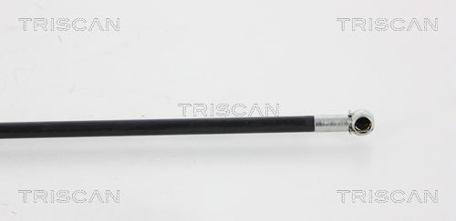 Gasfeder, Motorhaube links Triscan 8710 15102 von Triscan