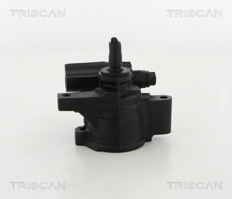 Hydraulikpumpe, Lenkung Triscan 8515 13614 von Triscan