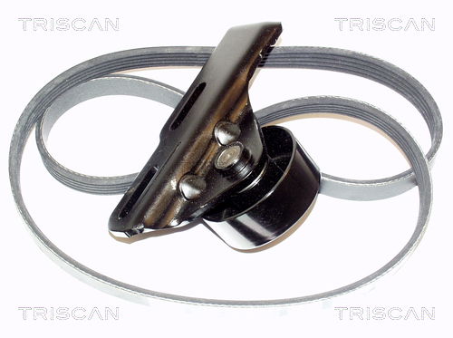 Keilrippenriemensatz Triscan 8642 25003 von Triscan