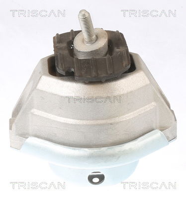 Lagerung, Motor Triscan 8505 11114 von Triscan