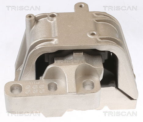 Lagerung, Motor Triscan 8505 29119 von Triscan