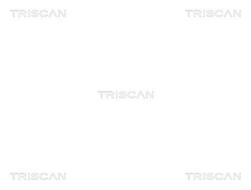 Radlagersatz Vorderachse Triscan 8530 11104 von Triscan