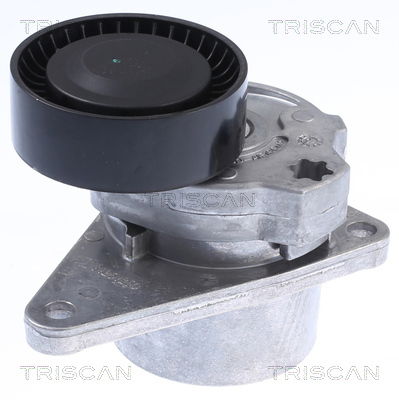 Riemenspanner, Keilrippenriemen Triscan 8641 103010 von Triscan