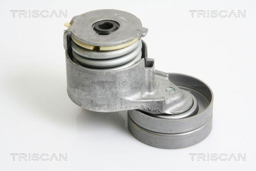 Riemenspanner, Keilrippenriemen Triscan 8641 103027 von Triscan