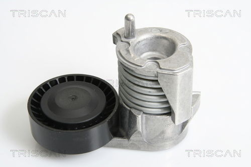 Riemenspanner, Keilrippenriemen Triscan 8641 103029 von Triscan