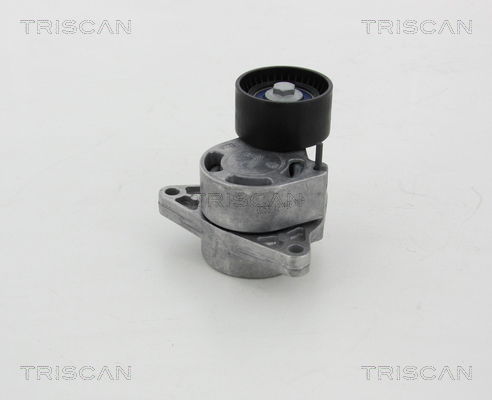 Riemenspanner, Keilrippenriemen Triscan 8641 103039 von Triscan