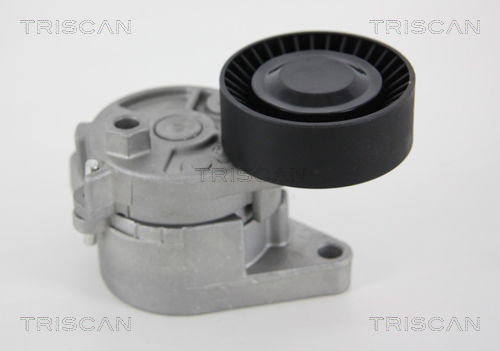 Riemenspanner, Keilrippenriemen Triscan 8641 113005 von Triscan