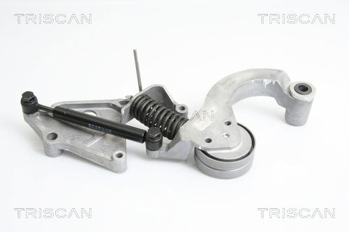 Riemenspanner, Keilrippenriemen Triscan 8641 113031 von Triscan