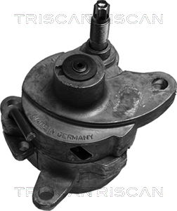 Riemenspanner, Keilrippenriemen Triscan 8641 233001 von Triscan