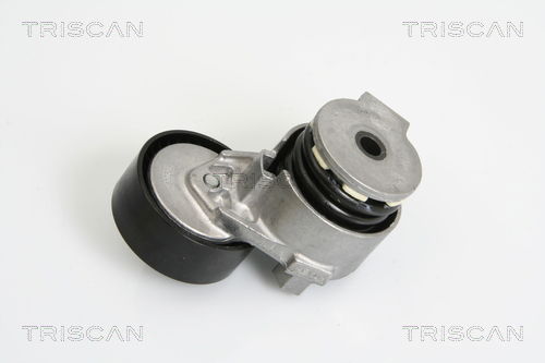 Riemenspanner, Keilrippenriemen Triscan 8641 253007 von Triscan