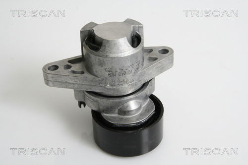 Riemenspanner, Keilrippenriemen Triscan 8641 253008 von Triscan