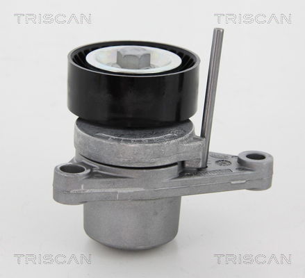 Riemenspanner, Keilrippenriemen Triscan 8641 283003 von Triscan