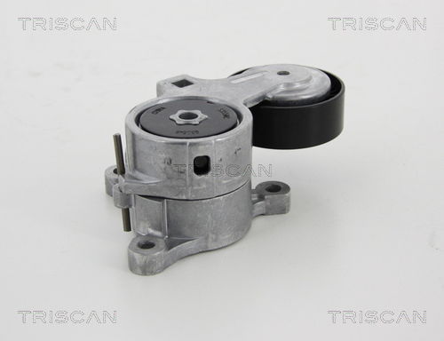 Riemenspanner, Keilrippenriemen Triscan 8641 283008 von Triscan