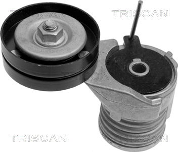 Riemenspanner, Keilrippenriemen Triscan 8641 293002 von Triscan