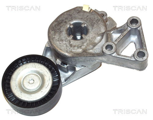 Riemenspanner, Keilrippenriemen Triscan 8641 293003 von Triscan