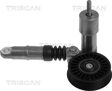 Riemenspanner, Keilrippenriemen Triscan 8641 293004 von Triscan