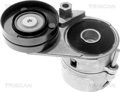 Riemenspanner, Keilrippenriemen Triscan 8641 293008 von Triscan