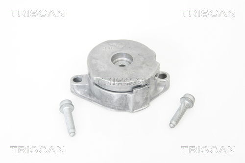 Riemenspanner, Keilrippenriemen Triscan 8641 293012 von Triscan