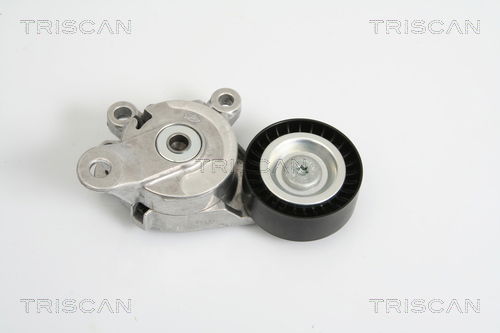 Riemenspanner, Keilrippenriemen Triscan 8641 293019 von Triscan