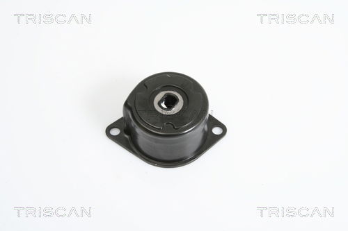 Riemenspanner, Keilrippenriemen Triscan 8641 293022 von Triscan