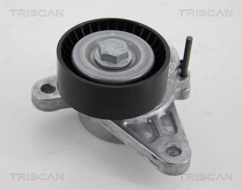 Riemenspanner, Keilrippenriemen Triscan 8641 293048 von Triscan