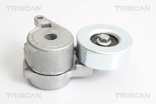 Riemenspanner, Keilrippenriemen Triscan 8641 423001 von Triscan