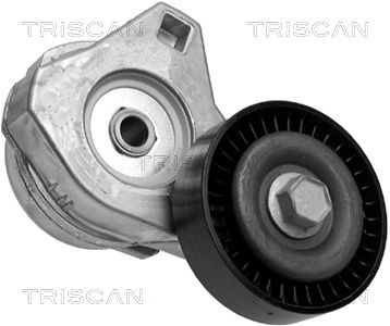 Riemenspanner, Keilrippenriemen Triscan 8641 803001 von Triscan