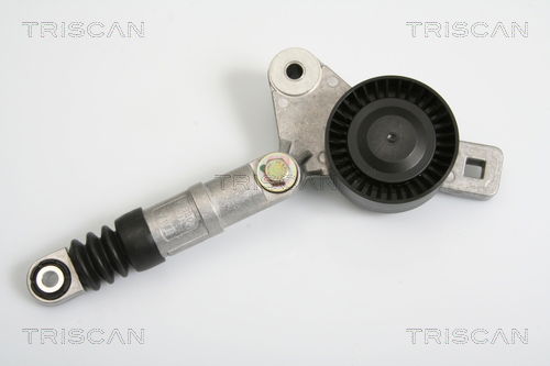 Riemenspanner, Keilrippenriemen Triscan 8641 803002 von Triscan