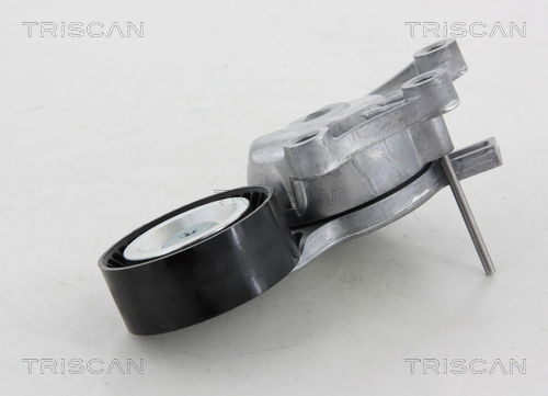 Riemenspanner, Keilrippenriemen oben Triscan 8641 281027 von Triscan