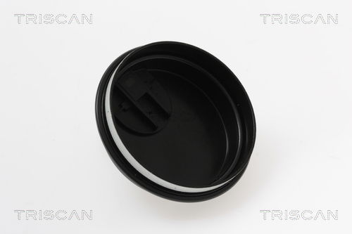 Sensor, Raddrehzahl Hinterachse Triscan 8180 13202 von Triscan