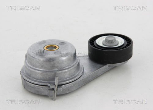 Spannrolle, Keilrippenriemen Triscan 8641 231023 von Triscan