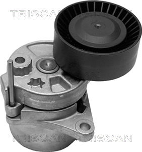 Spannrolle, Keilrippenriemen Triscan 8641 233005 von Triscan