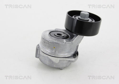 Spannrolle, Keilrippenriemen Triscan 8641 432005 von Triscan