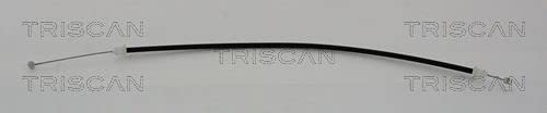 TRISCAN 8140 231139 Bremskraftverstärker von Triscan