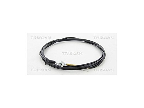 TRISCAN 8140 91005 Vergaser von Triscan