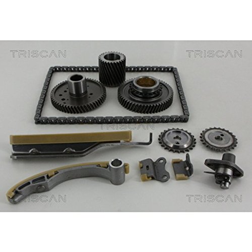 TRISCAN 8650 42001 Antriebselemente von TRISCAN