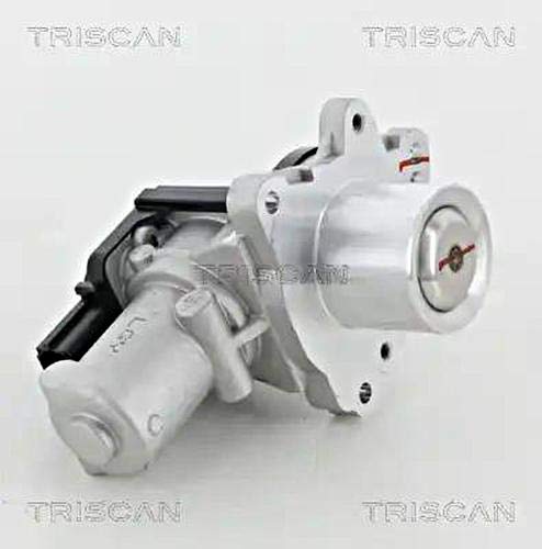 TRISCAN AGR-Ventil 881318045 von Triscan