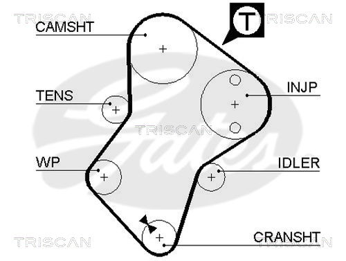 Zahnriemen Triscan 8645 5049xs von Triscan