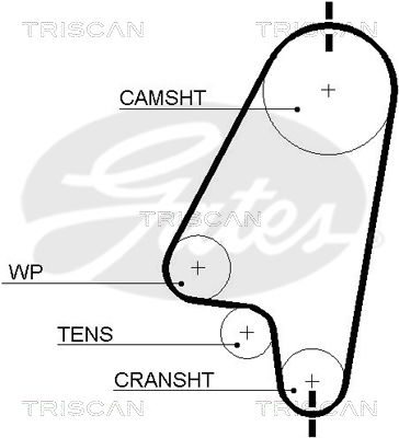 Zahnriemen Triscan 8645 5310xs von Triscan