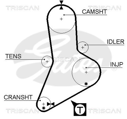 Zahnriemen Triscan 8645 5334xs von Triscan