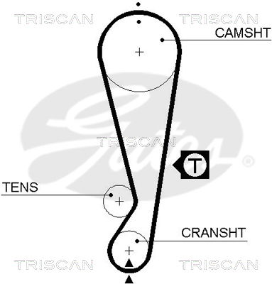 Zahnriemen Triscan 8645 5403xs von Triscan