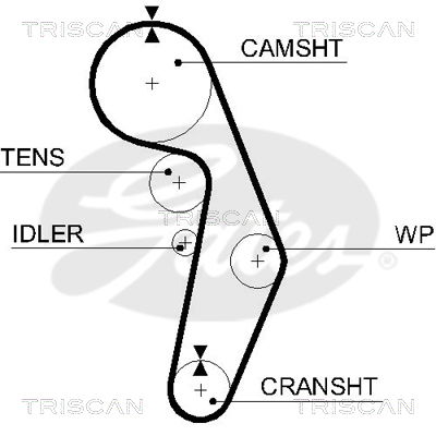 Zahnriemen Triscan 8645 5491xs von Triscan