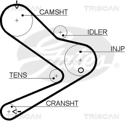 Zahnriemen Triscan 8645 5495xs von Triscan