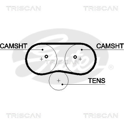 Zahnriemen Triscan 8645 5516xs von Triscan