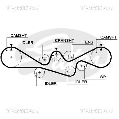 Zahnriemen Triscan 8645 5537xs von Triscan