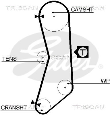 Zahnriemen Triscan 8645 5544xs von Triscan