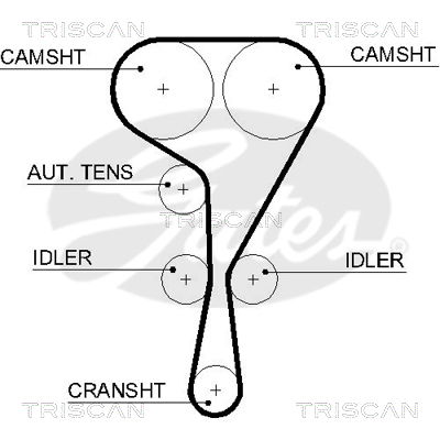 Zahnriemen Triscan 8645 5550xs von Triscan