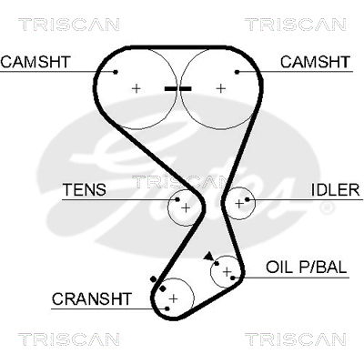 Zahnriemen Triscan 8645 5556xs von Triscan